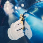 How to detail your car like a pro
